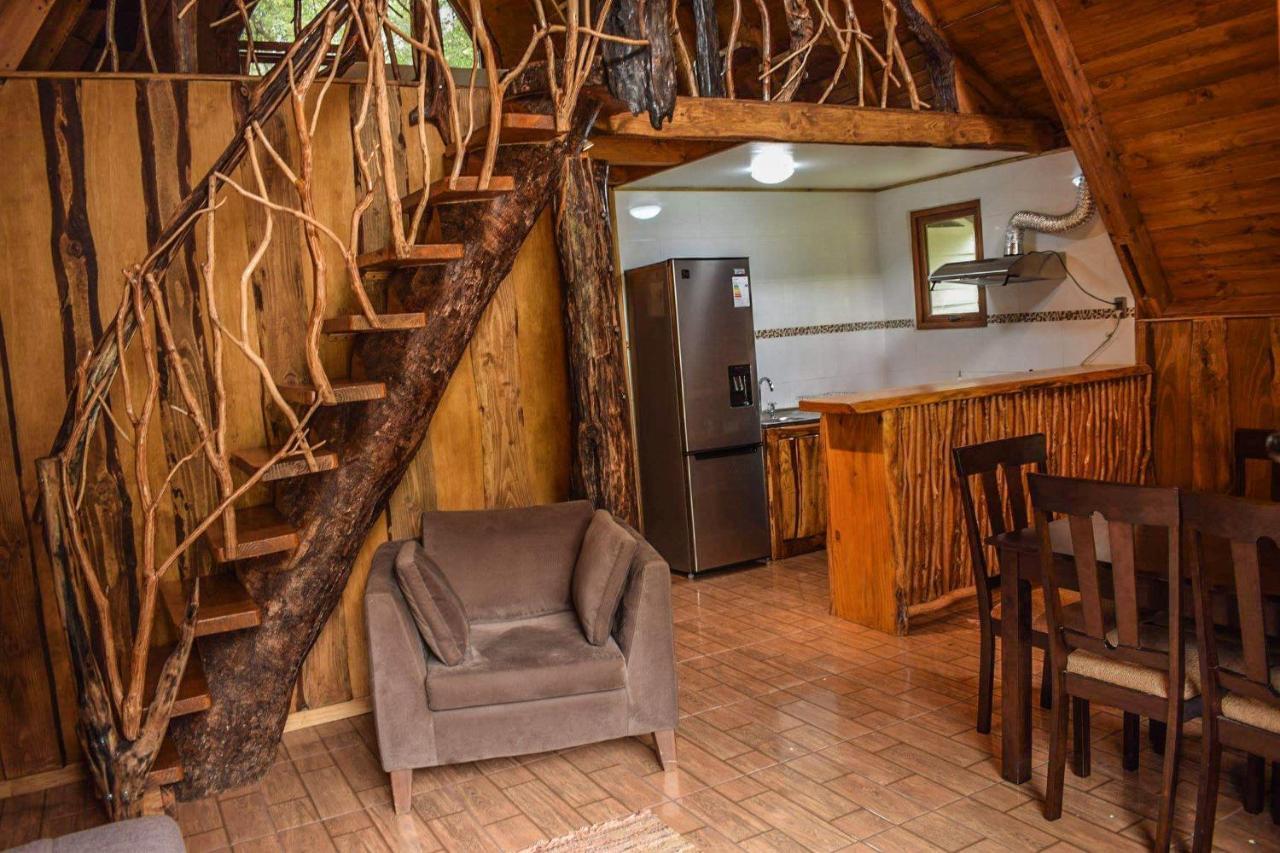 Cabanas Ecoturismo La Pancha Puerto Aysen Exterior photo